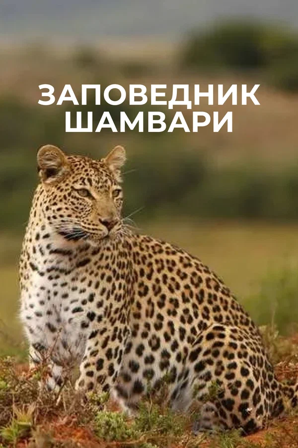 Заповедник Шамвари